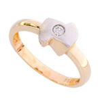 ΧΡΥΣΟ ΔΑΧΤΥΛΙΔΙ ΜΕ ΖΙΡΓΚΟΝ